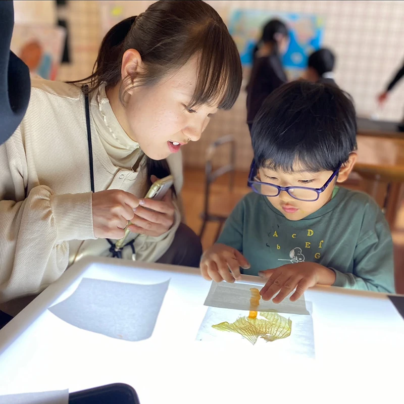 小さな科学者の、真剣な眼差し