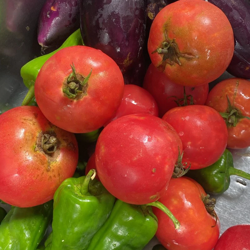 かえで保育園キッチンだより 夏野菜カレー