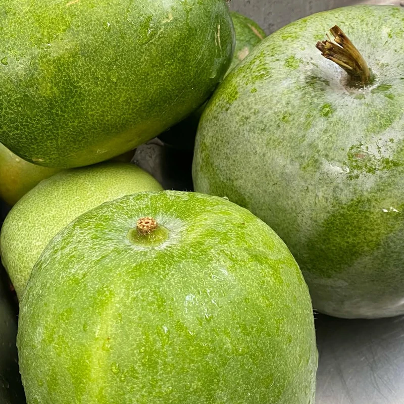 かえで保育園キッチンだより 夏野菜のあっさりおでん